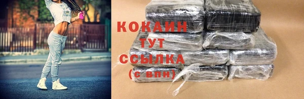сатива Надым