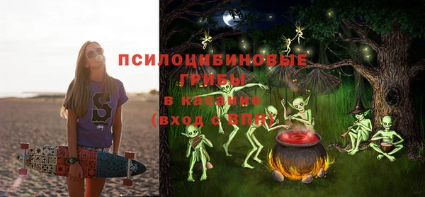 прущие грибы Богородск
