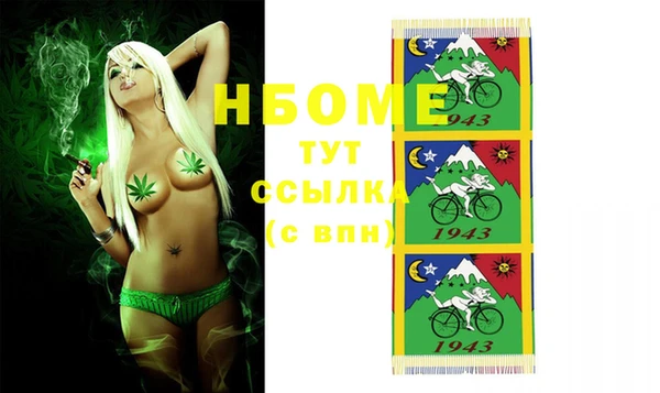 сатива Надым