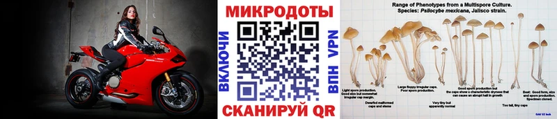 гидра ссылка  Карабаш  Галлюциногенные грибы мухоморы 