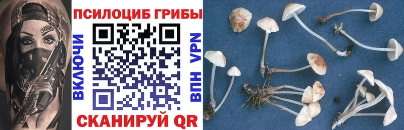 Галлюциногенные грибы Psilocybine cubensis Карабаш